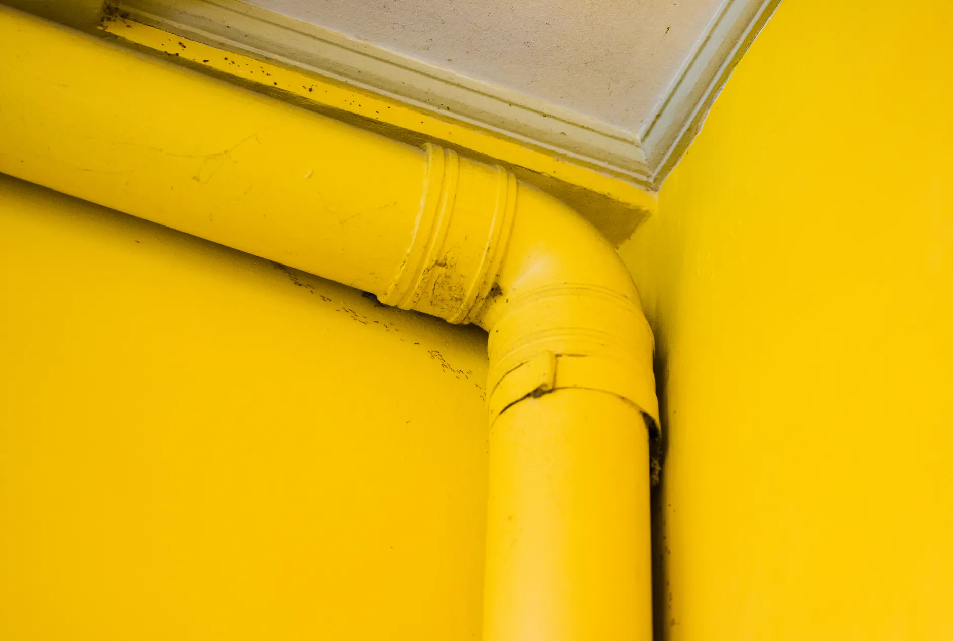 Sump Pumps, Cellars & Standing Water After a Downpour
